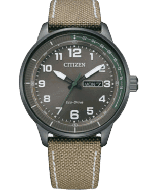 Citizen Tactical Day-Date Men’s Watch