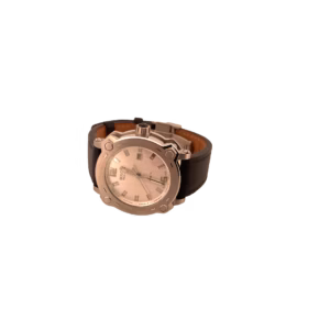 Bulova Accuswiss